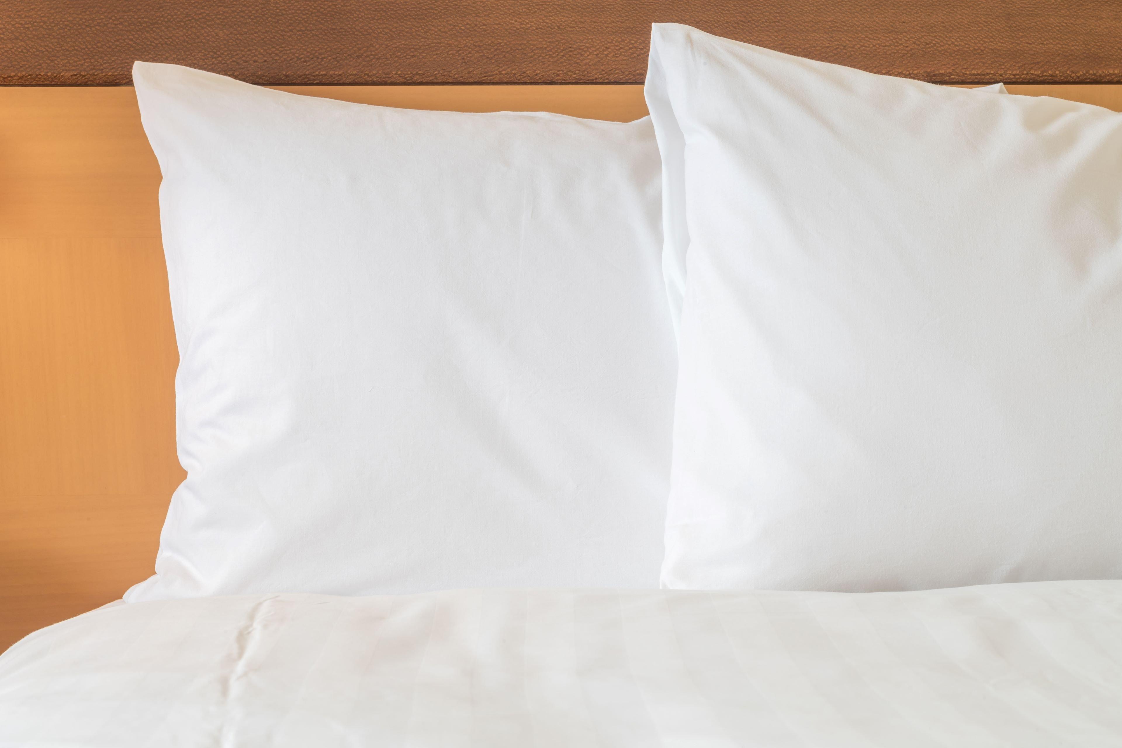 Holiday Inn Express Hotel & Suites Ashland By Ihg Buitenkant foto